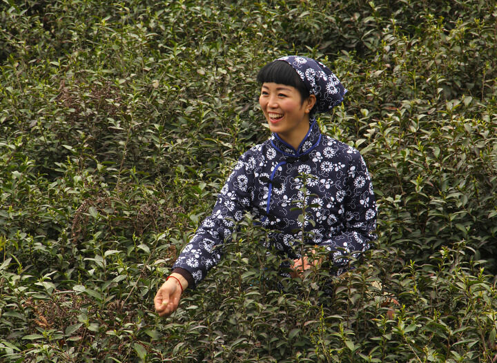 优酷直艾米 档案
